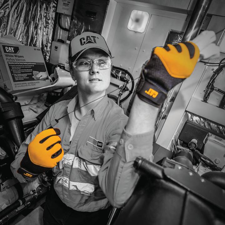 Actual product image Cat Gloves (L)