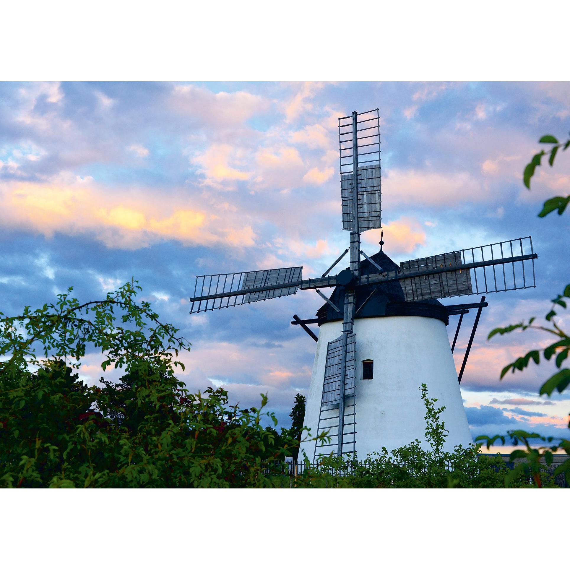 Ravensburger Puzzle 12000597 - Windmühle bei Retz - 1000 Teile Puzzle für Erwachsene und Kinder ab (1000 Teile)