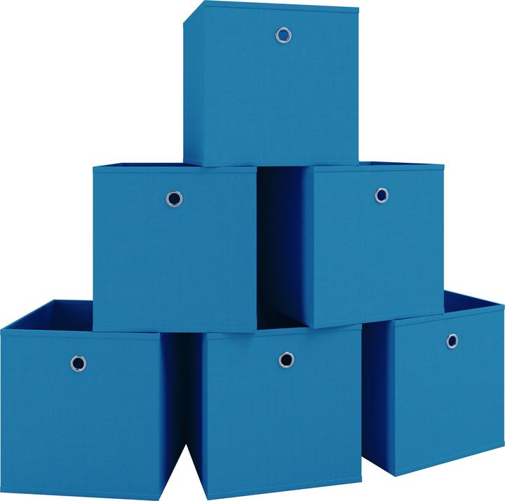 Image du produit VCM Lot de 6 boîtes pliantes "Boxas (27 cm, 6x)