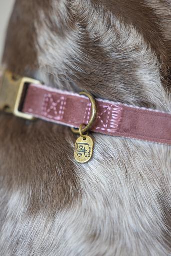 Actual product image Designed by Lotte Velura (XL, Dog, Walks)