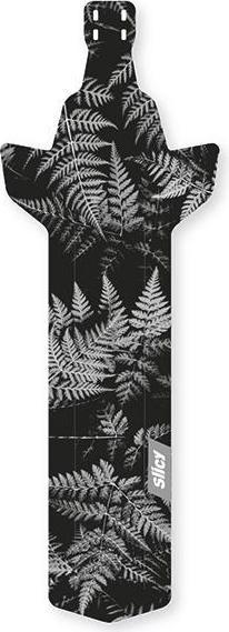 Ferns