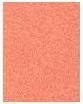 Actual product image Maybelline New York Sunkisser Blush 02 Uptown Glow (02 Uptown Glow)