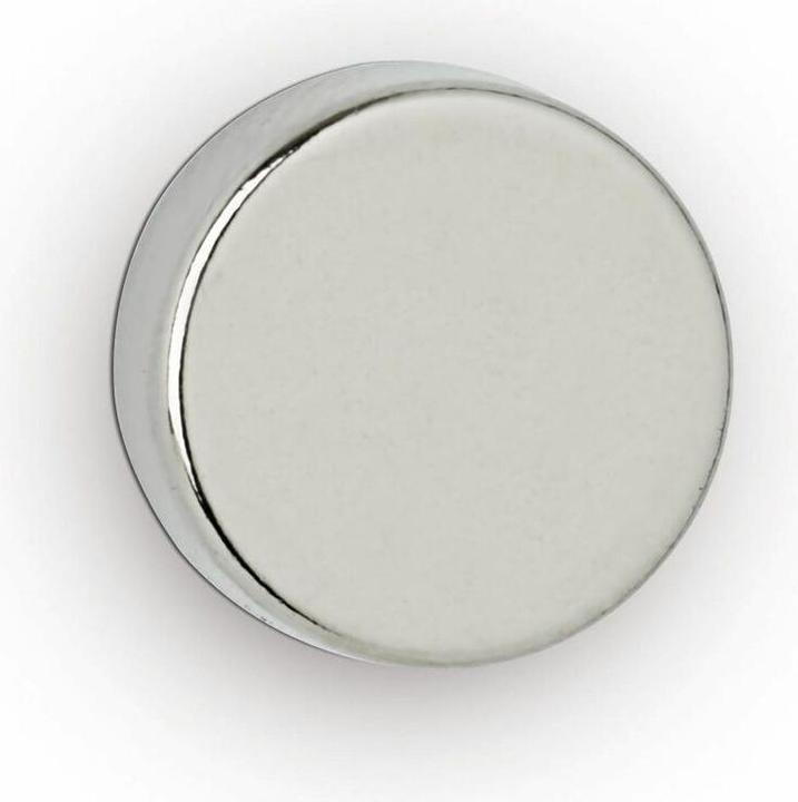 Maul Aimant disque en néodyme, 12 mm, force d'adhérence : 4 kg, argent Diamètre : 12 mm / Hauteur : 5 (4 x)