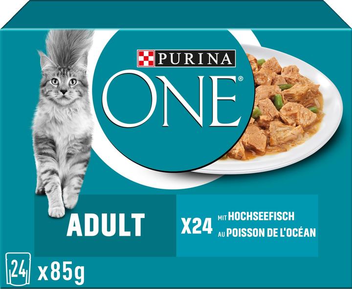 Actual product image One in sauce, deep-sea fish & green beans (Adult, 24 pcs., 2040 g)