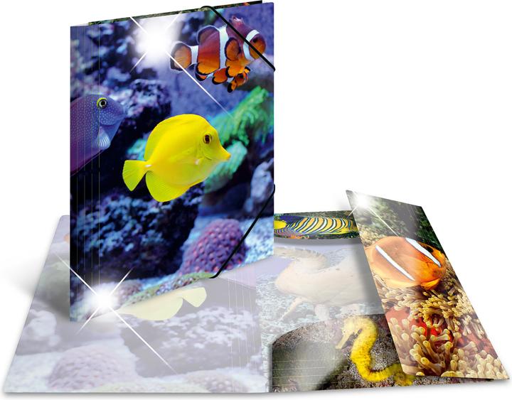 Immagine prodotto HERMA Cartella a motivi A4 (A4, 1 x)