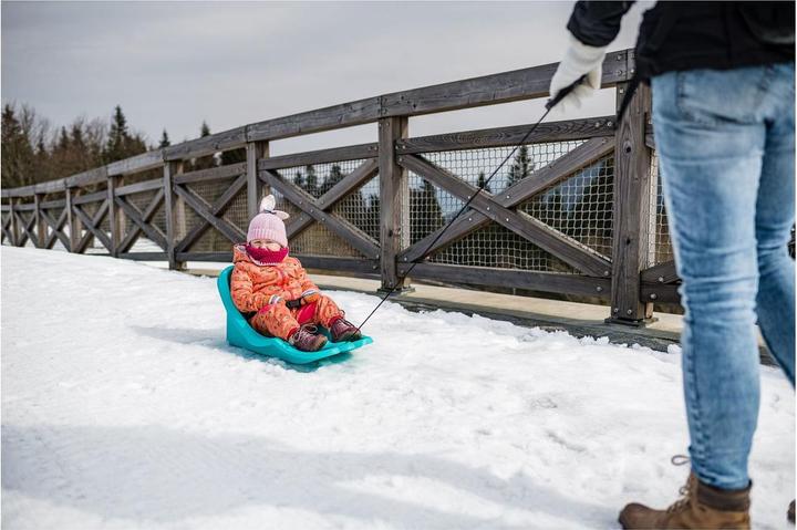 Actual product image Gizmo Riders Baby Rider monster pink