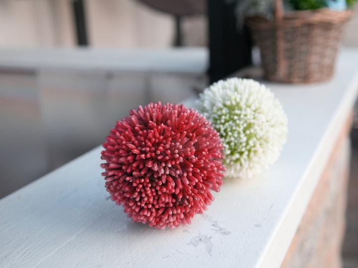 Actual product image Europalms Allium branch (55 cm)