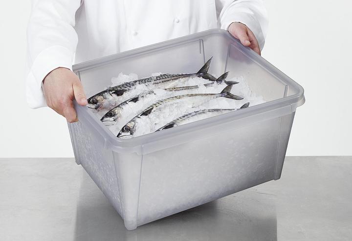 Immagine prodotto Ebnat SmartStore Dry Box (50 x 40 x 27 cm, 33 l, 1x)