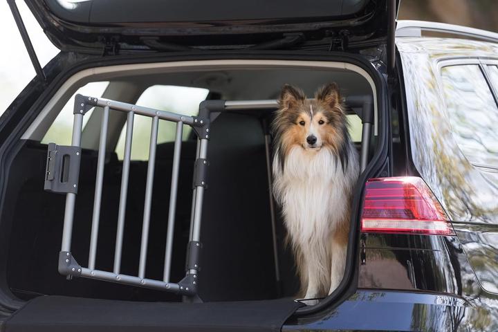 Immagine prodotto Trixie Scatola di trasporto (Cane, Traspirante, Chiusura di sicurezza)