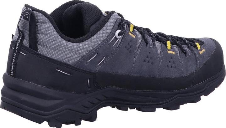 Produktbild Salewa Alp Trainer 2 GTX (45)