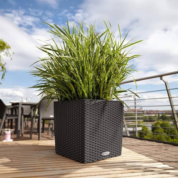 Actual product image Lechuza Cube Cottage (29.50 cm)