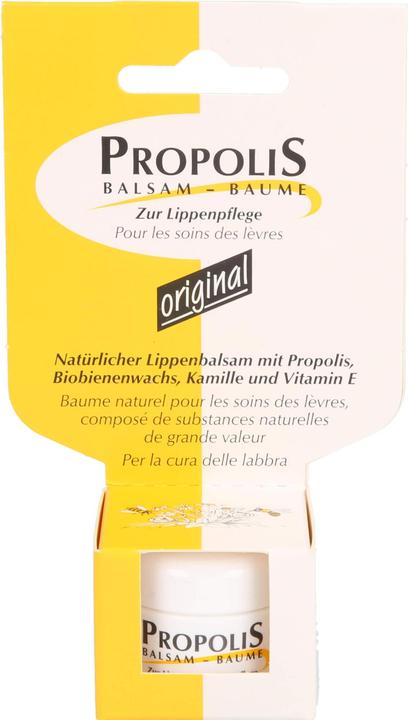 Actual product image Remmele Balsam Tiegel (Lip balm, 5 ml)