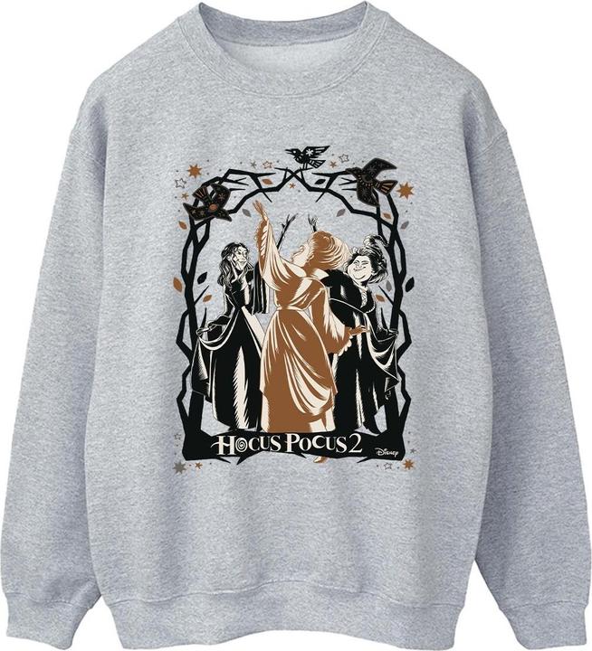 Disney Hocus Pocus Birds Sweatshirt (M)