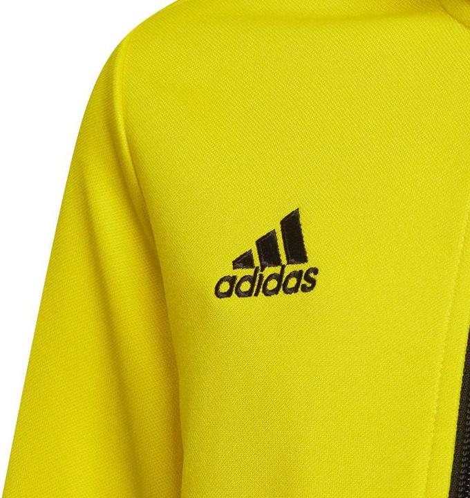 Actual product image Adidas Entrada 22 training jacket kids (176)