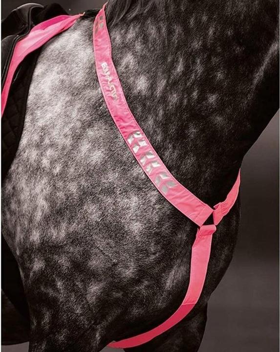Immagine prodotto Equi-Flector Imbracatura per il petto