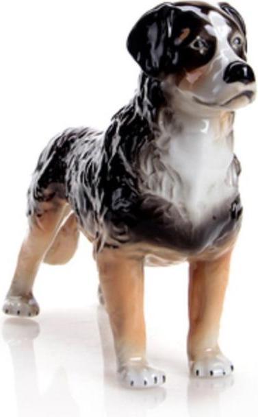 02885/40 - Bernese mountain dog