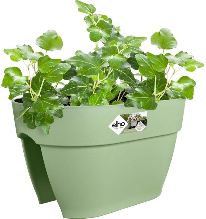 Immagine prodotto Elho Vibia Campana Flower Bridge (39 x 26 x 22 cm)