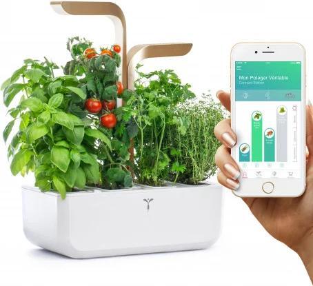 Productafbeelding Véritable VERITABLE CONNECT Indoor Garten gold inkl 4 Packs (33 x 18.50 x 38 cm)