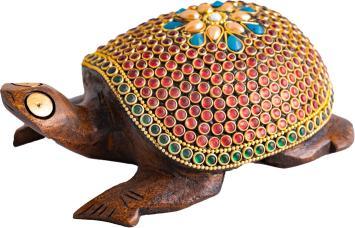 Berk Zauberschildkröte, gross