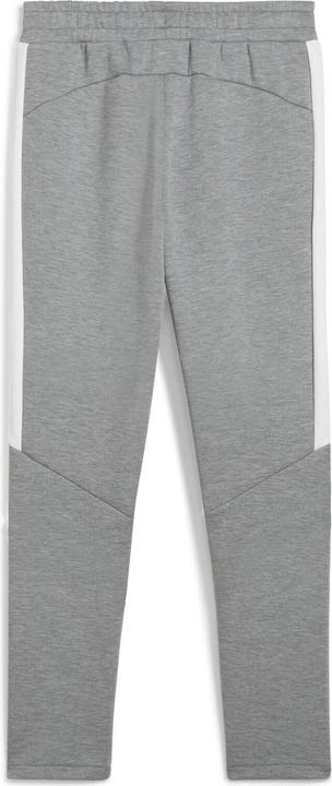 Actual product image Puma teamEVOSTRIPE Pants Jr (164)