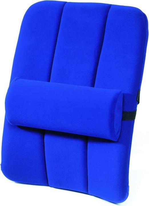 Actual product image Sissel DorsaBack-Car (50 x 35 cm)