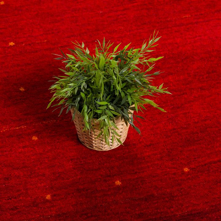 Produktbild Theko Natur Teppich Indo Gabbeh Indira Bordüre (90 x 160 cm)