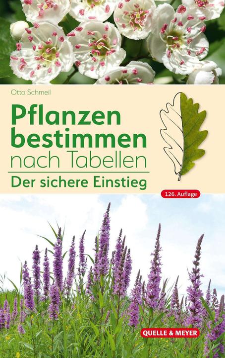 Actual product image Schmeil:Pflanzen bestimmen nach Tabelle (German, Michael Koltzenburg, Otto Schmeil, 2024)