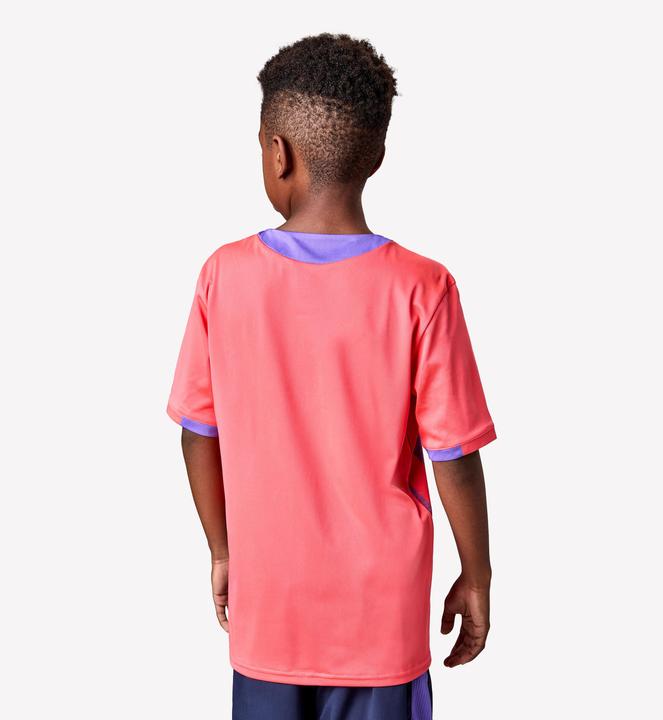 Produktbild Kipsta Kinder Fussball Trikot kurzarm - VIRALTO Kids Roarrr Mandrill rot/violett (140)