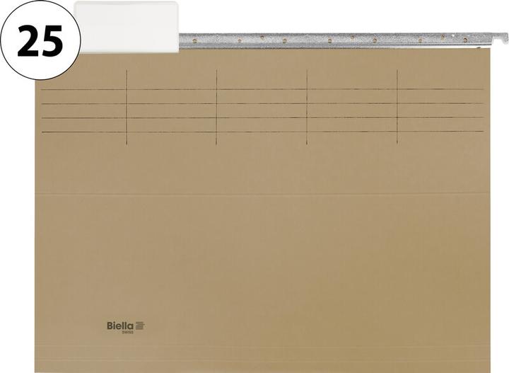 Actual product image Biella Suspension file (A4, 25x)