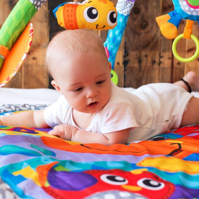 Immagine prodotto Playgro Piegatura a clip del cavallo