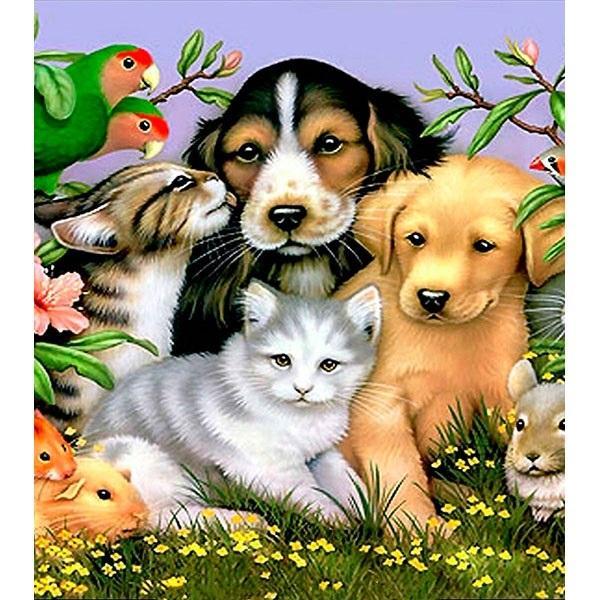 Norimpex 5D-Diamantmosaik - Tiere 40x30cm