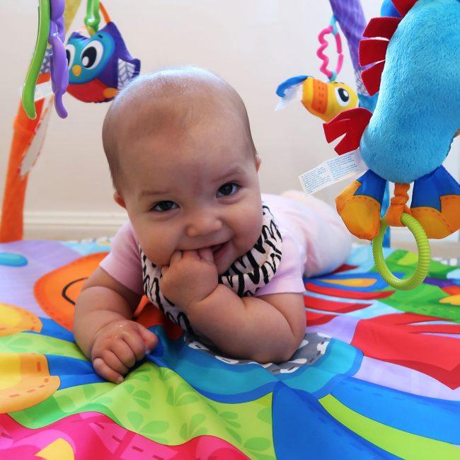 Immagine prodotto Playgro Piegatura a clip del cavallo