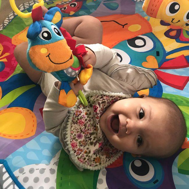 Immagine prodotto Playgro Piegatura a clip del cavallo