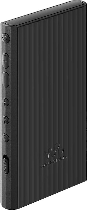 Image du produit Sony NW-A306 (18 Go)