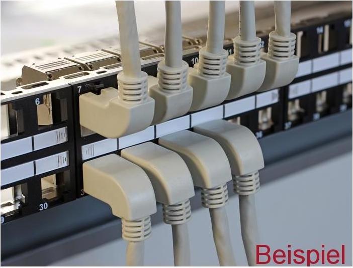 Actual product image Delock Patch cable RJ-45 (M) (S/FTP, CAT6a, 2 m)