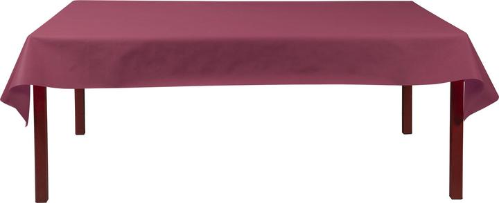 Actual product image Exacompta Tablecloth Rolls Spu nbond L120x10m Burgu