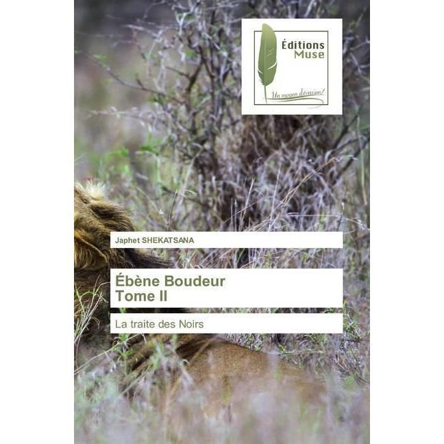 Ébène Boudeur Tome II, Belletristik von Japhet SHEKATSANA