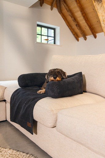 Productafbeelding Designed by Lotte Geribbeld (Hond)