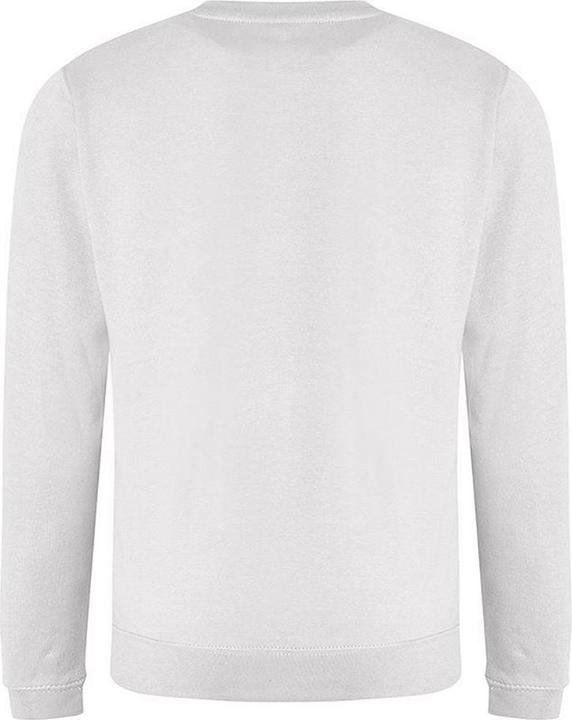 Actual product image Awdis Just Hoods Sweatshirt With Crew Neck (3XL)