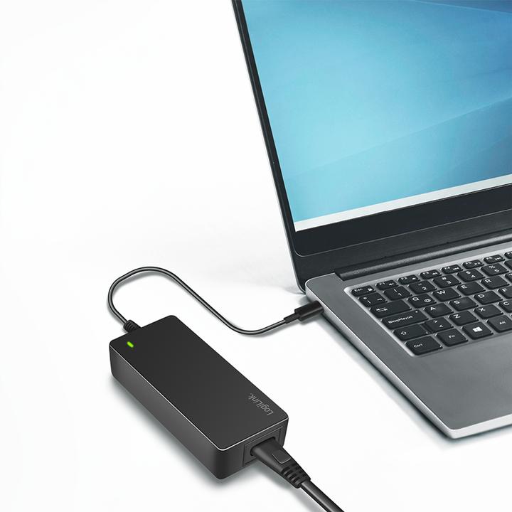 Immagine prodotto LogiLink PA0313 (100 W)