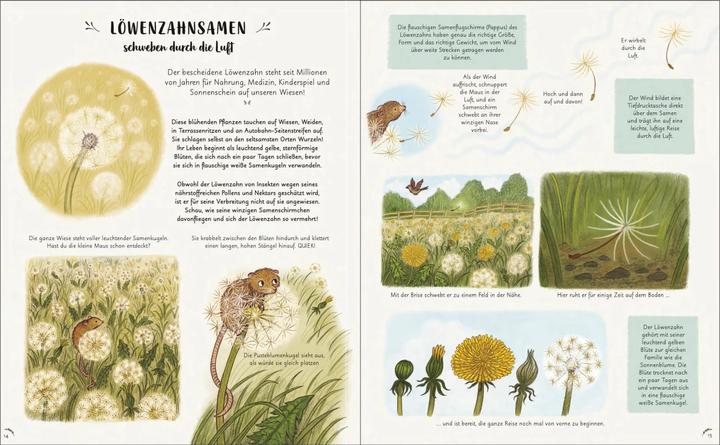 Produktbild Wunder der Natur. Ein Augenblick zum Innehalten und Staunen (Deutsch, Freya Hartas, Laura Brand, 2023)