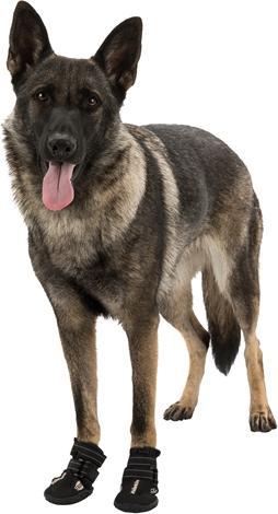 Produktbild Trixie Pfotenschutz Walker Active (M, L, Hundeschuhe)