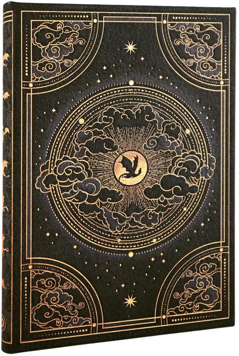 Paperblanks NotizbuchShadowsofNavarreMidiblanko (A5, Blanko, Harter Einband)