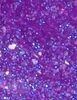 Immagine prodotto OPI Smalto Power of Hue Vai all'uva
