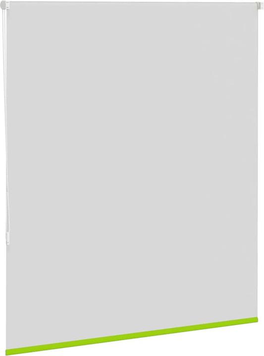 Actual product image vidaXL Verdunkelungsrollo (140 x 150 cm)