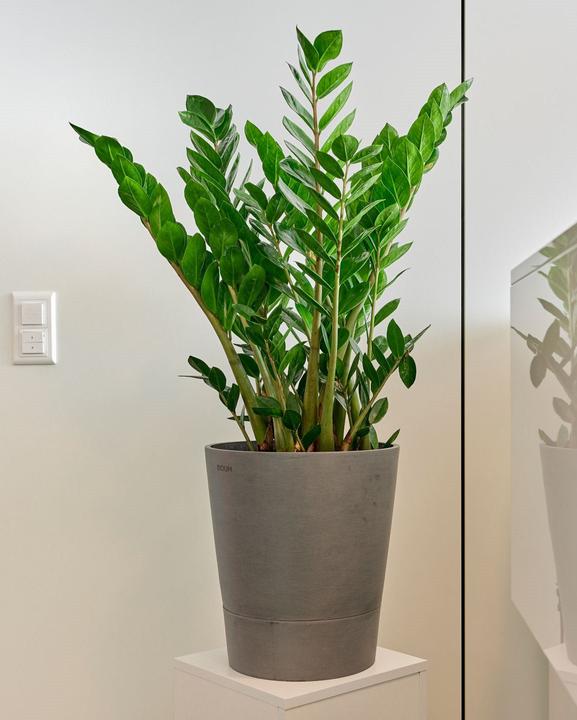 Produktbild Boum Topf