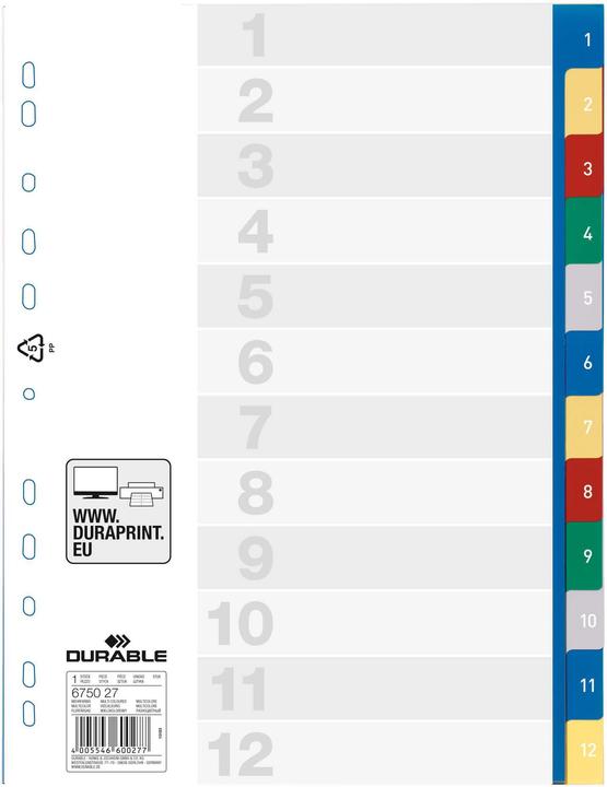 Etichetta energetica Durable Registri PP, varie versioni, singolo