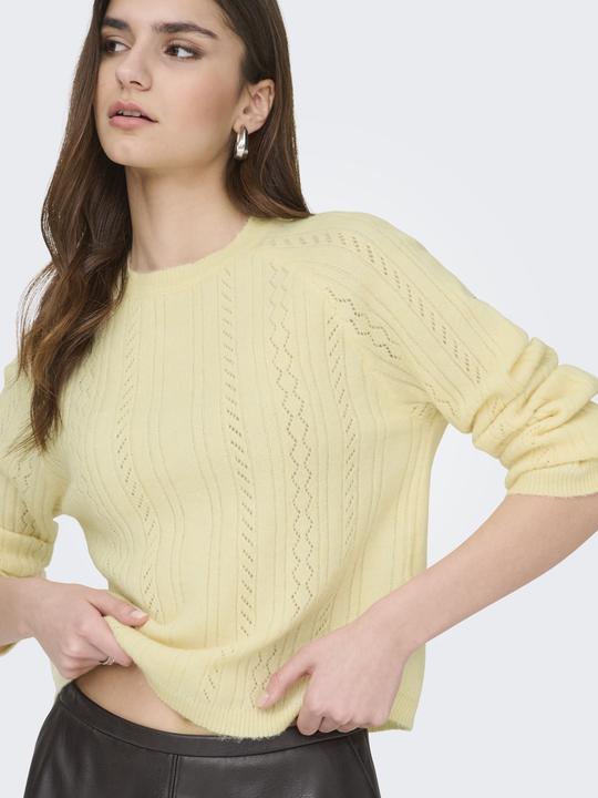 Image du produit JdY JDYAPRIL Strickpullover Strickpullover (L)