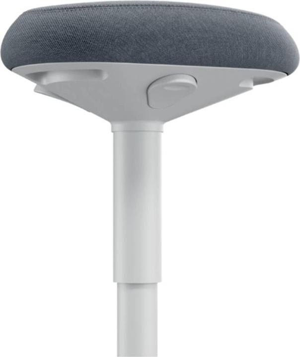 Actual product image Leitz Ergo Active