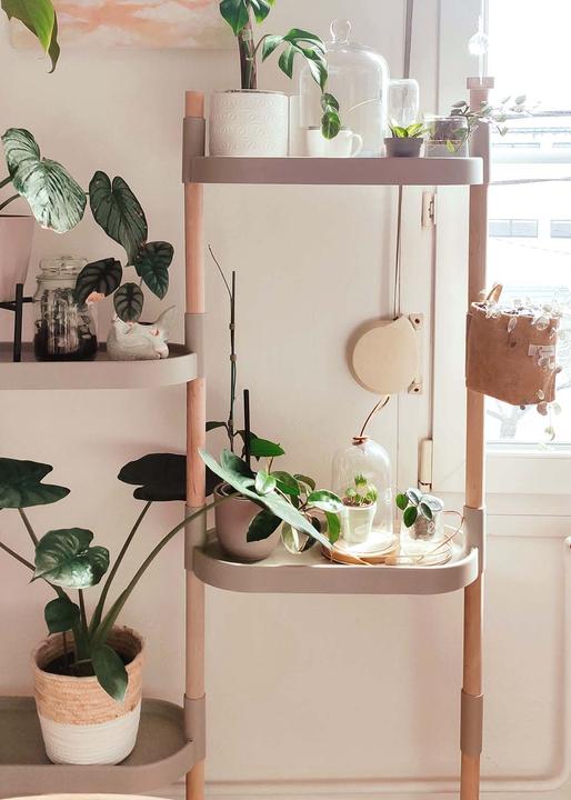 Image du produit CitySens Blumenregal